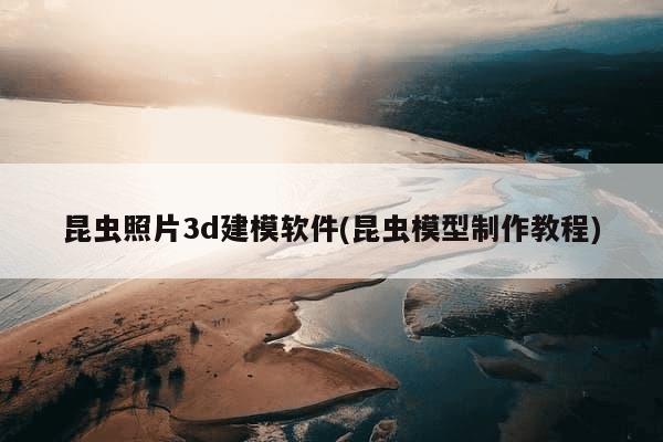 昆虫照片3d建模软件(昆虫模型制作教程)